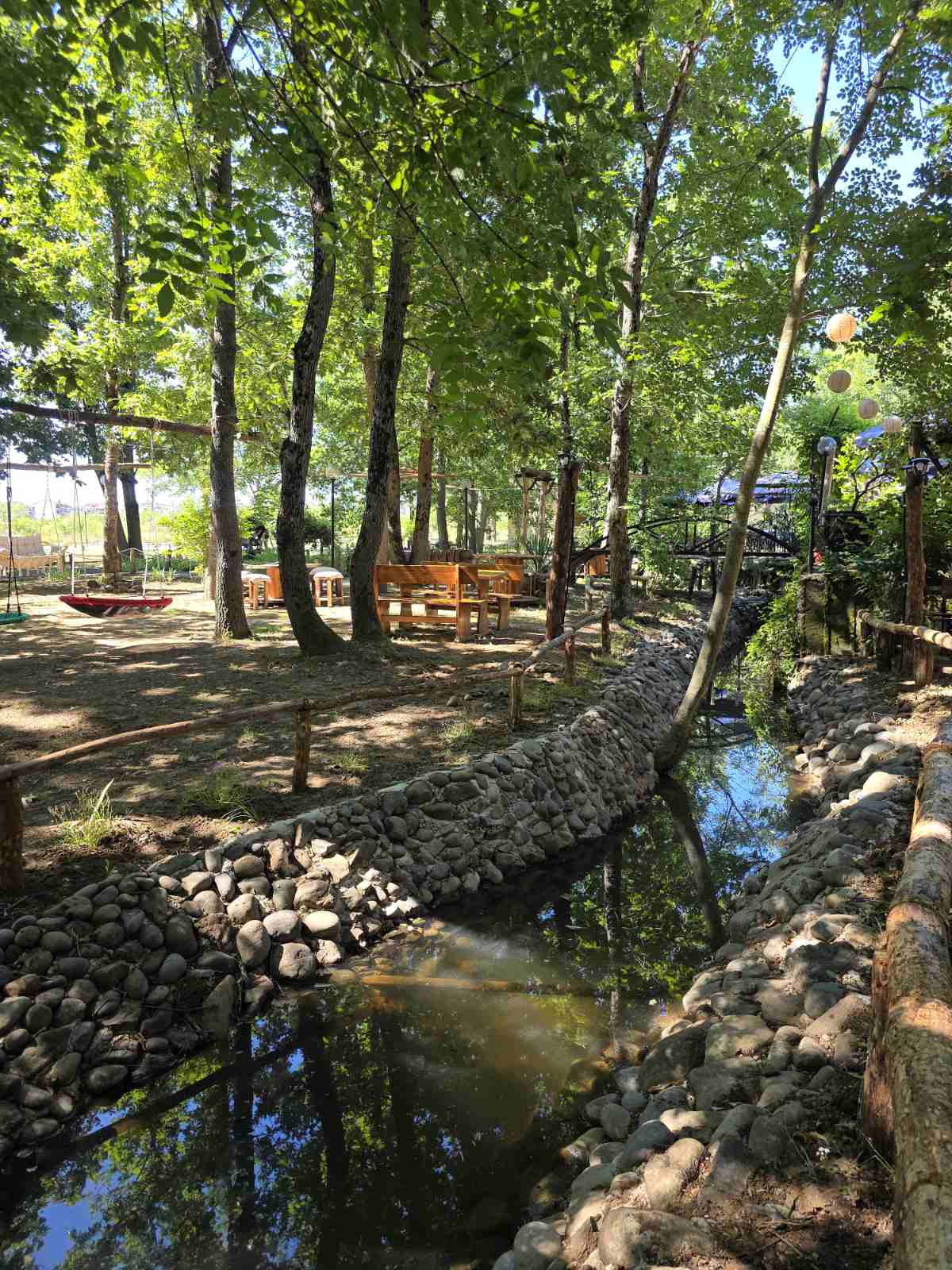 Bendida forest