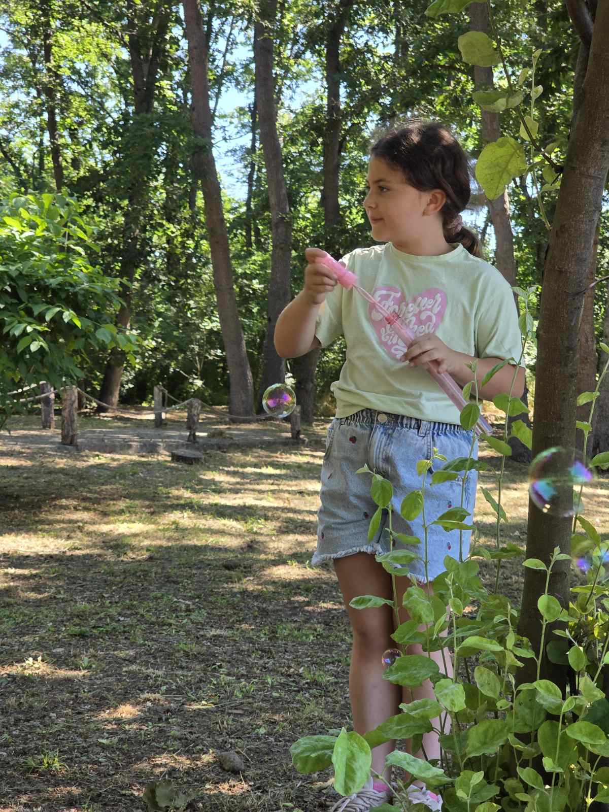 Bubbles in the forest