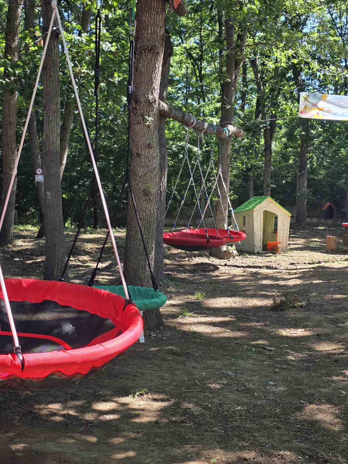 Nest swings in the oak grove