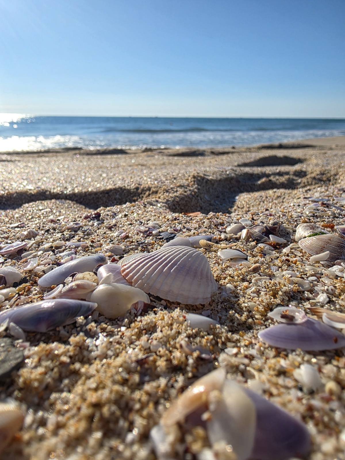 Primorsko beach