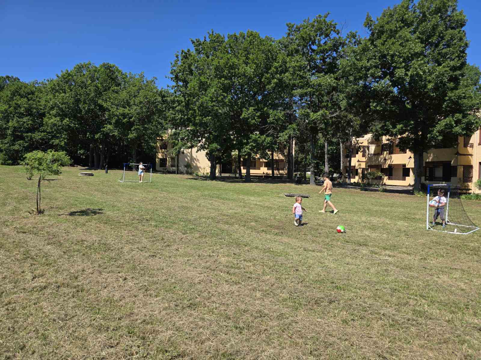 Football on the lawn