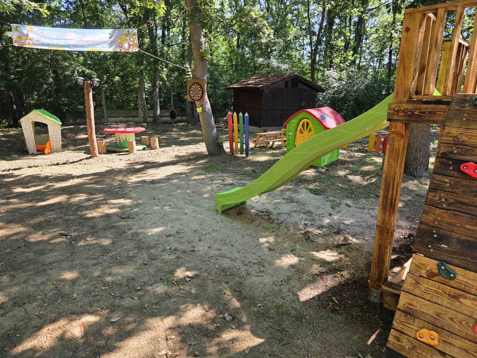 Forest playground overview